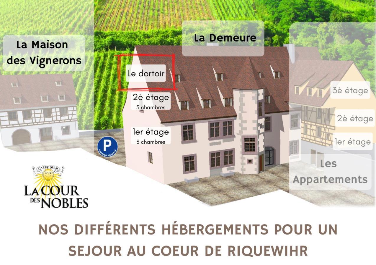 Domaine La Cour Des Nobles - Demeure, Maison Et Appartements Au Coeur De Riquewihr Esterno foto